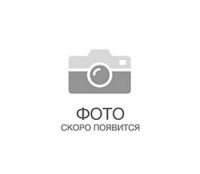 Шампур плоский, 600 х 12 х 2 мм, нержавеющая сталь PALISAD 69656