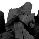Уголь берёзовый, 3 кг PALISAD 69545