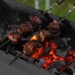Уголь берёзовый, 5 кг Россия Camping PALISAD 69662